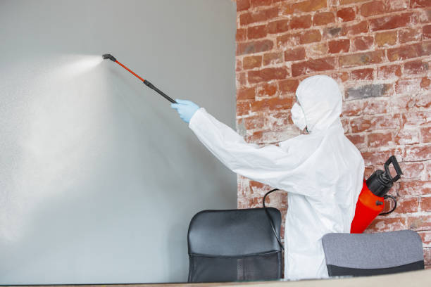 Best Biohazard Mold Removal  in Mililani Town, HI