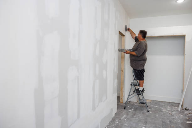 Best Mold Prevention Services  in Mililani Town, HI