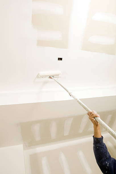 Best Emergency Mold Remediation  in Mililani Town, HI