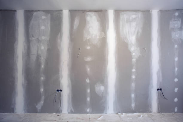 Best Forensic Mold Investigation  in Mililani Town, HI